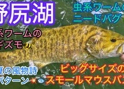 葛の葉店スタッフ　「番外編」野尻湖スモールマウスバス釣果情報（二日目）【２０２４年７月１８日】サムネイル