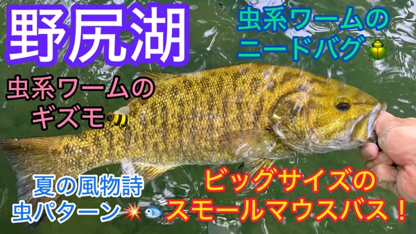 葛の葉店スタッフ　「番外編」野尻湖スモールマウスバス釣果情報（二日目）【２０２４年７月１８日】サムネイル