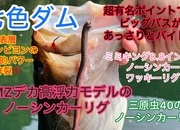 葛の葉店スタッフ　七色ダム釣果情報　【２０２４年８月２１日】サムネイル