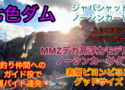 葛の葉店スタッフ　七色ダム釣果情報　【２０２４年９月１１日】サムネイル