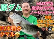 葛の葉店スタッフ　池原ダム釣果情報　【２０２４年９月２７日】サムネイル