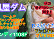 葛の葉店スタッフ　風屋ダム釣果情報　【２０２４年１０月１６日】サムネイル