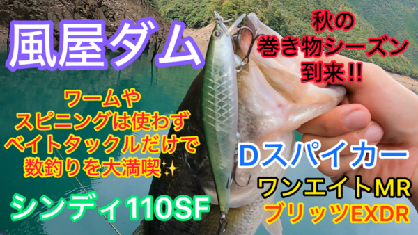 葛の葉店スタッフ　風屋ダム釣果情報　【２０２４年１０月１６日】サムネイル