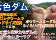 葛の葉店スタッフ　七色ダム釣果情報　【２０２４年９月２６日】サムネイル